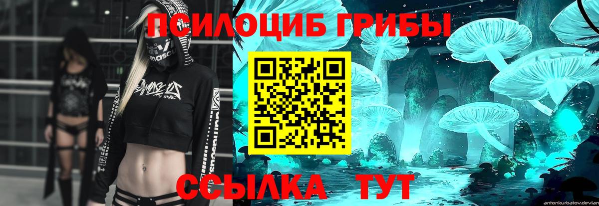 Галлюциногенные грибы Psilocybe  Вход с VPN  Галлюциногенные грибы Psilocybe  Пушкино 